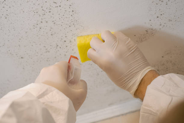 Best Dehumidification Services  in Durham, OR